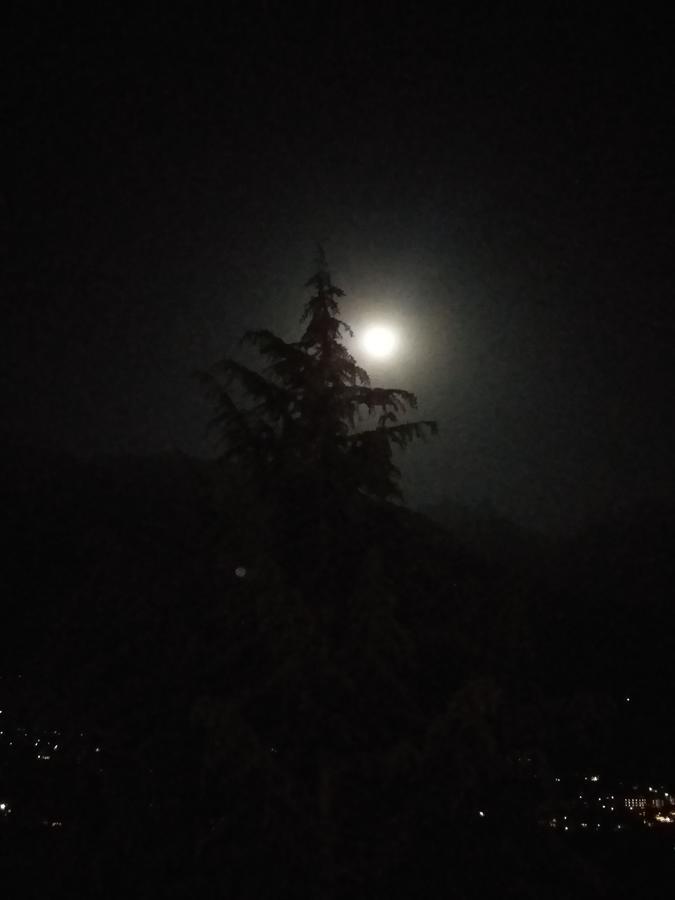 Hotel Seven Hills Manali Dış mekan fotoğraf