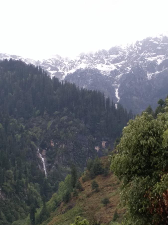 Hotel Seven Hills Manali Dış mekan fotoğraf
