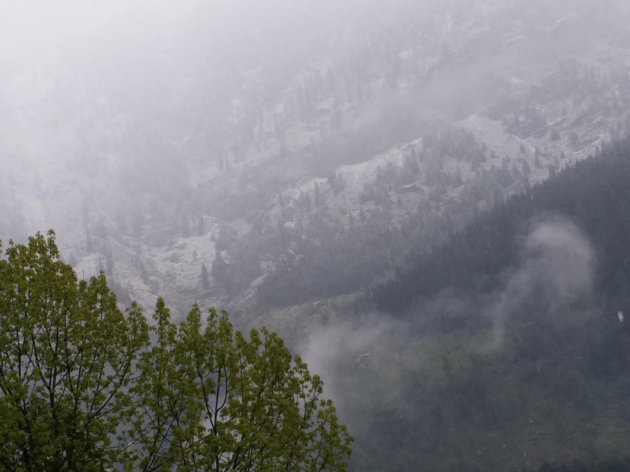 Hotel Seven Hills Manali Dış mekan fotoğraf