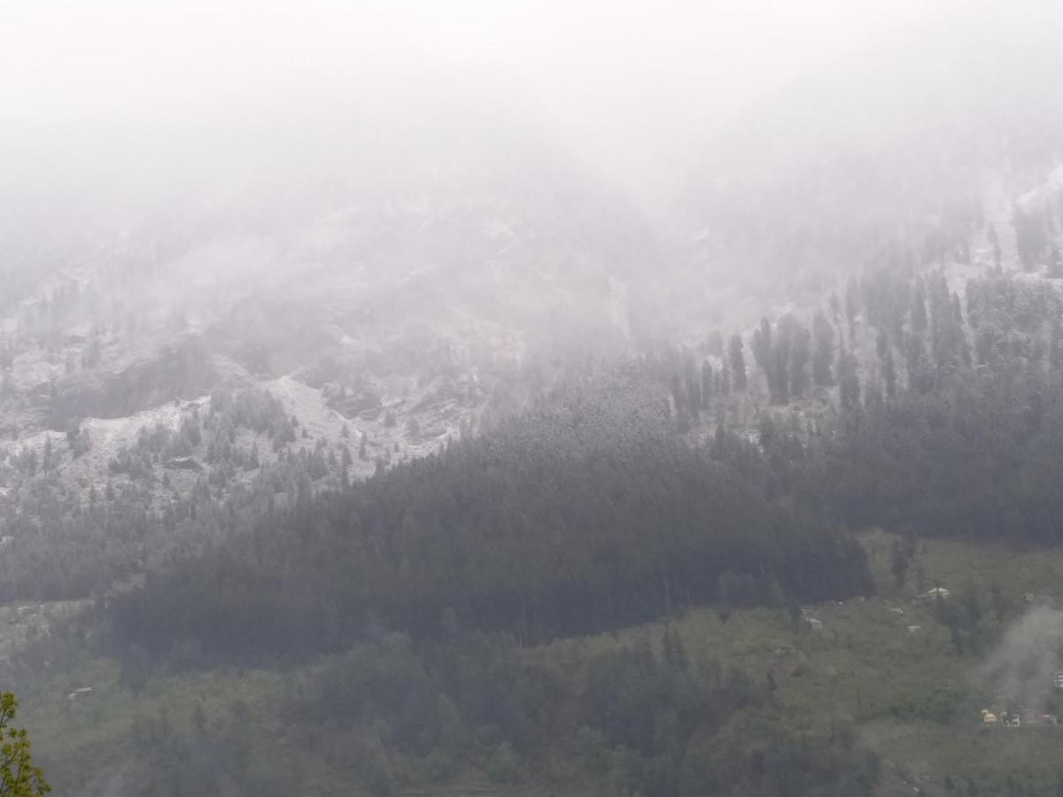 Hotel Seven Hills Manali Dış mekan fotoğraf